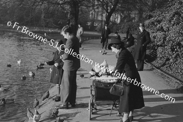 ST STEPHEN'S GREEN FEEDING DUCKS